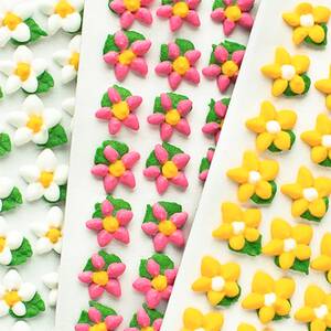 Cukrové květy | Frischmann Vyškov